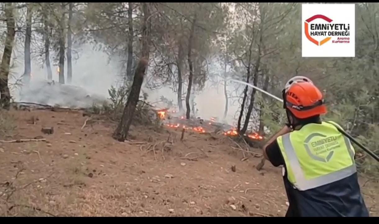 Orman Yangınları - 20.07.2025