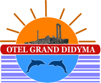 Emniyetli Logo