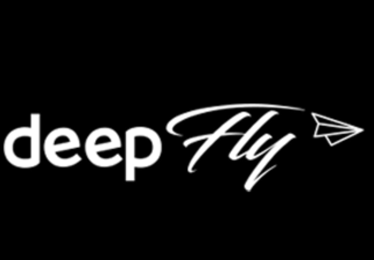 Deep Fly